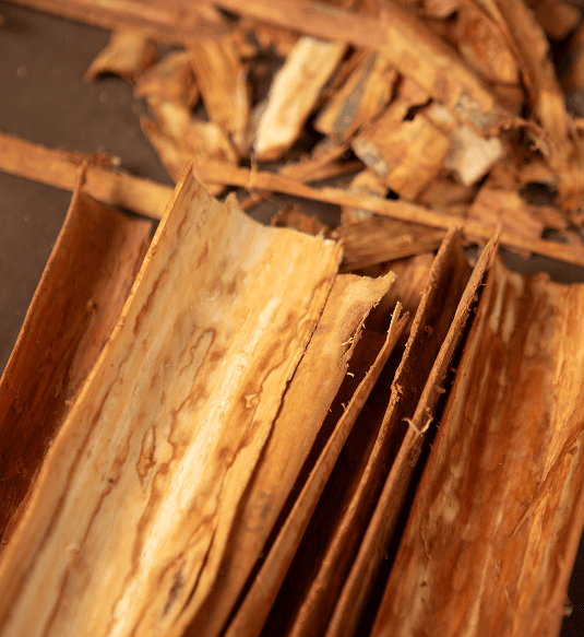 Traditional Tools