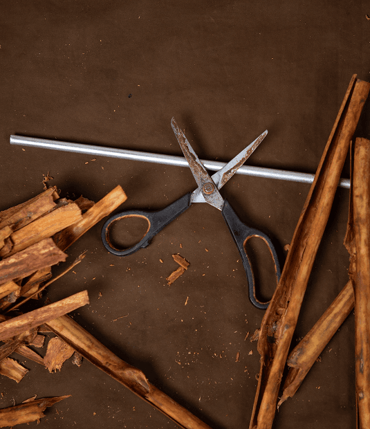 Cinnamon Bark